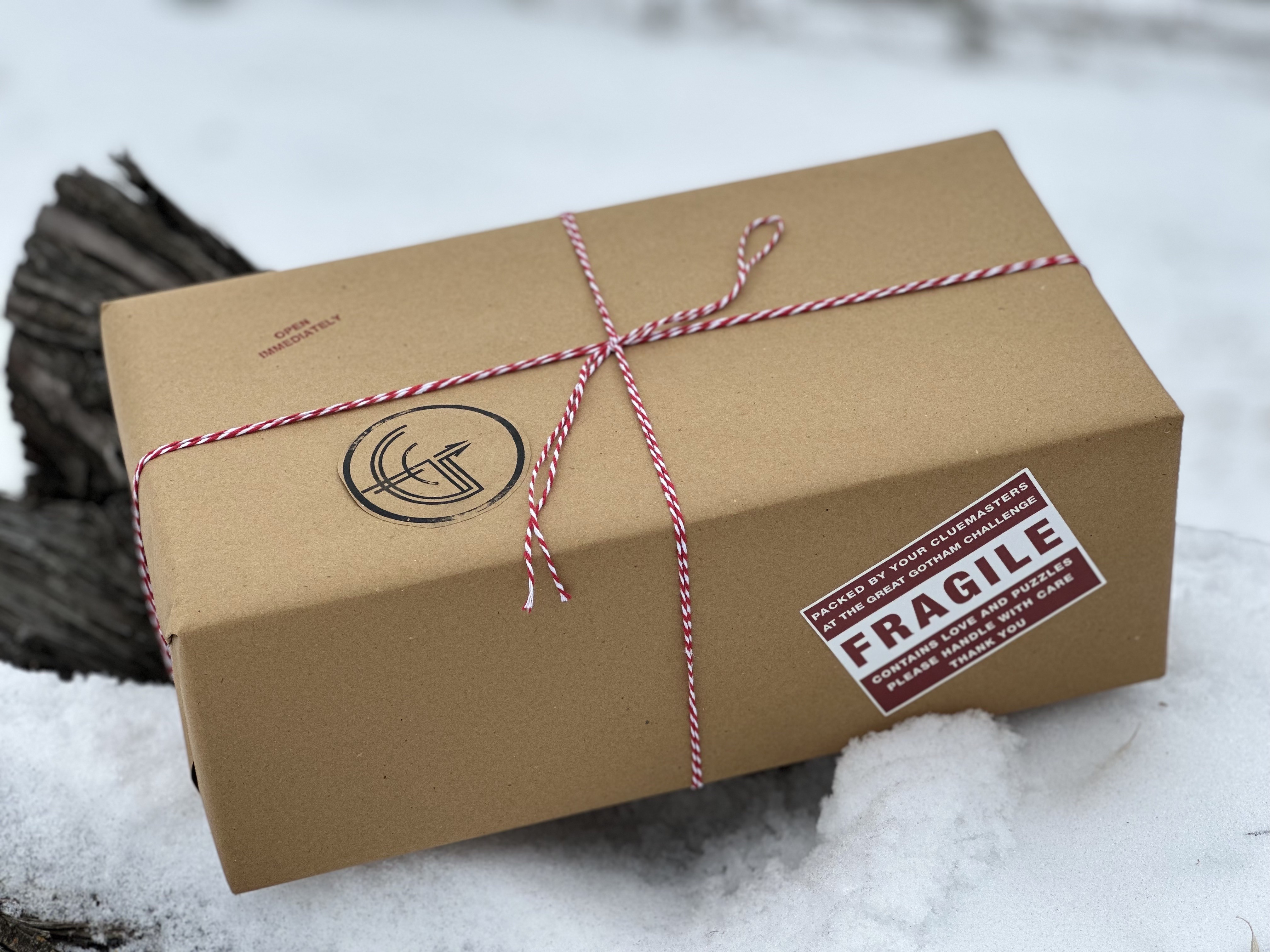 A Parcel in the Snow